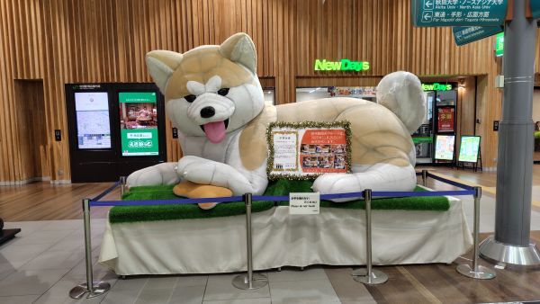 2025年11月25日に卒業した秋田駅のバルーン